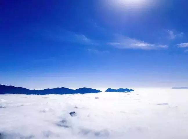 上焦山看云海，奇趣动物之旅，这个地方离成都只有4个小时车程