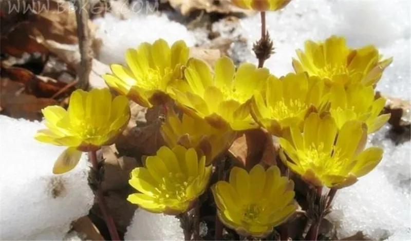 带孩子旅游不适合去寺庙,亲子游不建议带3岁宝宝去哪