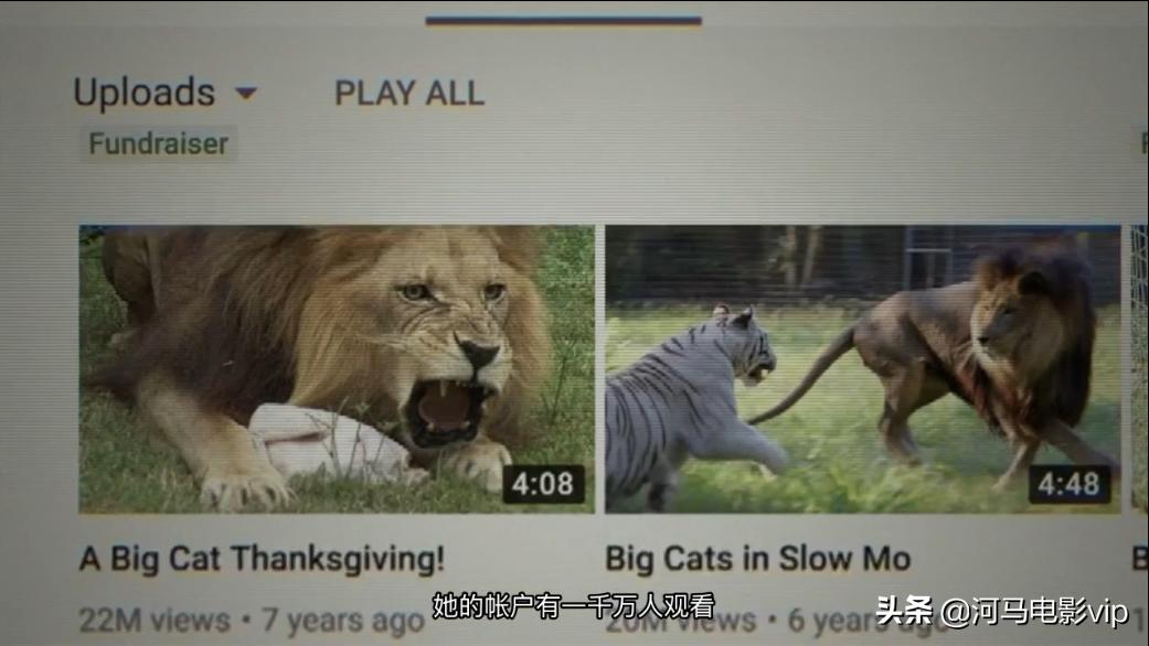 这部魔幻纪录片，在美国竟然比疫情还火！