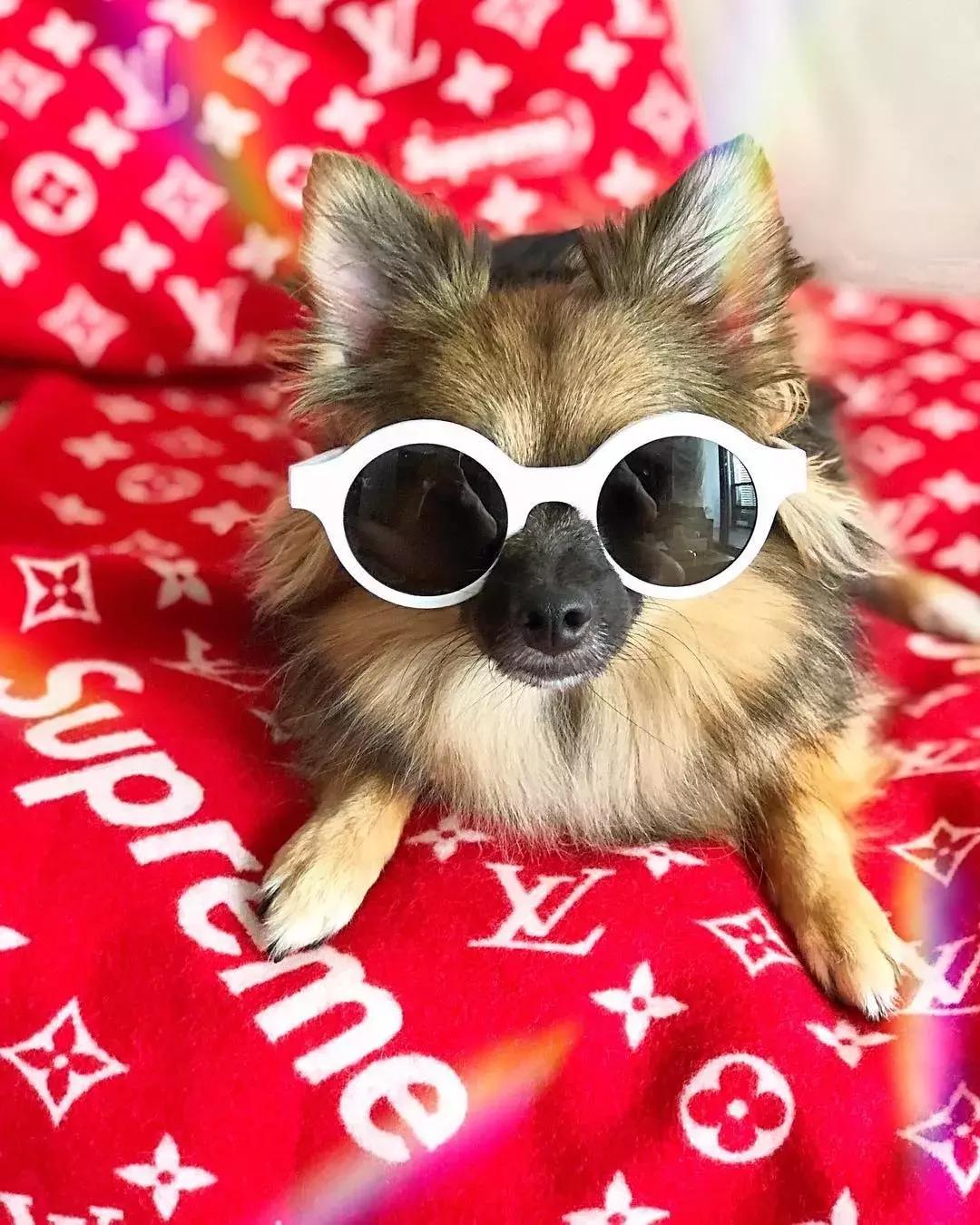 supreme联名款潮牌,supreme潮牌联名