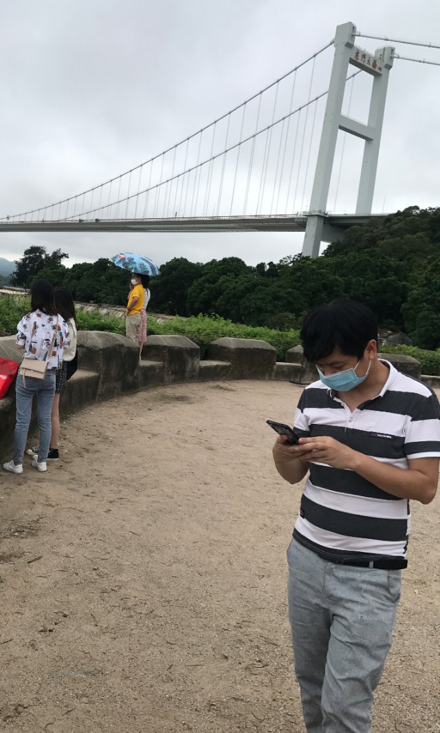 狗自拍图片,大黄狗自拍