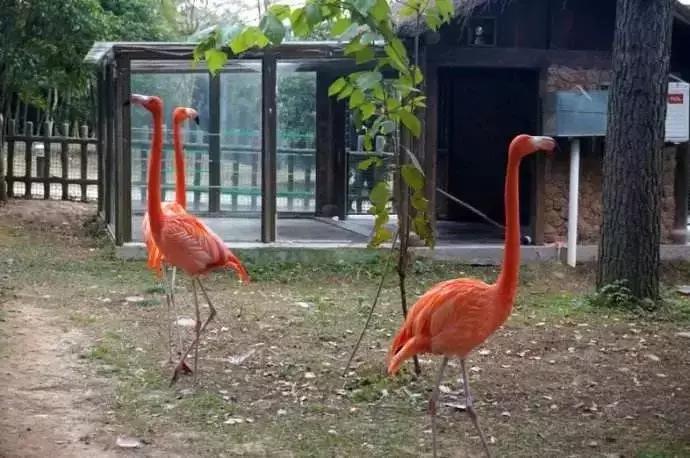 苏州旅游景点地铁线,苏州吴中区旅游路线