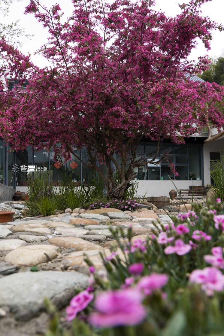 景别五个拍摄技巧图片,拍摄景别图解