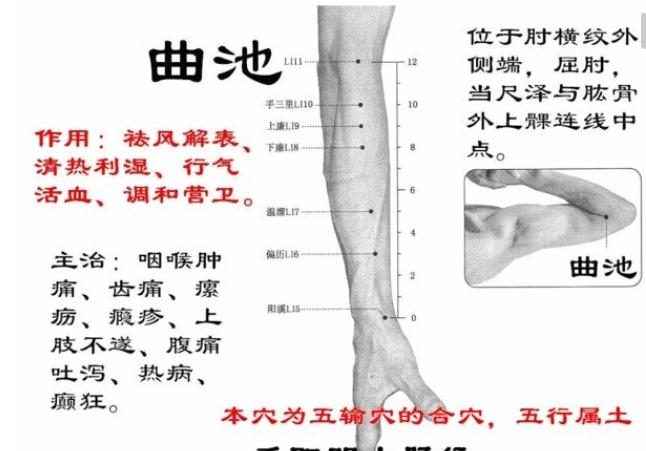 史上最全的人体穴位与功效图谱,74个常用穴位