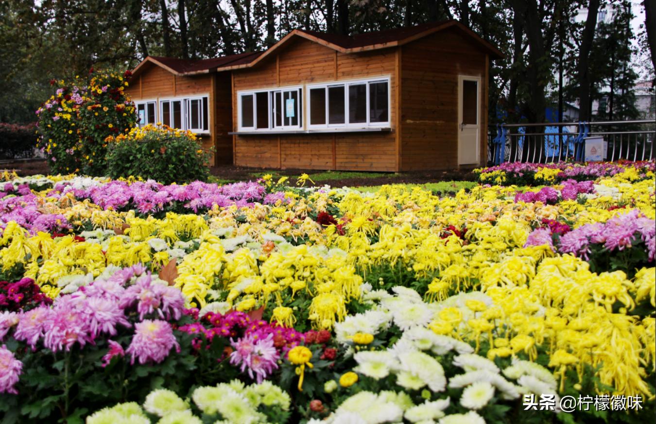 <html>
<head><title>502BadGateway</title></head>
<body>
<center><h1>502BadGateway</h1></center>
<hr><center>nginx</center>
</body>
</html>
<!--apaddingtodisableMSIEandChromefriendlyerrorpage-->
<!--apaddingtodisableMSIEandChromefriendlyerrorpage-->
<!--apaddingtodisableMSIEandChromefriendlyerrorpage-->
<!--apaddingtodisableMSIEandChromefriendlyerrorpage-->
<!--apaddingtodisableMSIEandChromefriendlyerrorpage-->
<!--apaddingtodisableMSIEandChromefriendlyerrorpage-->
