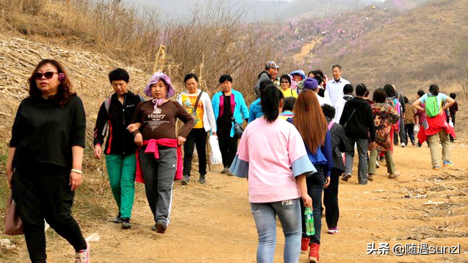 岫岩黄岭子映山红景区简介,岫岩开映山红在哪个地方