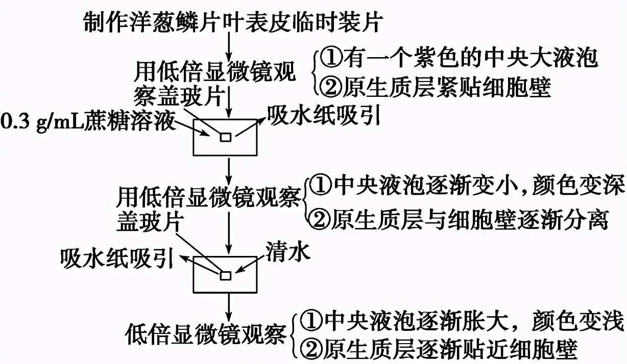 高中生物实验及其作用总结,高中生物实验要点归纳图