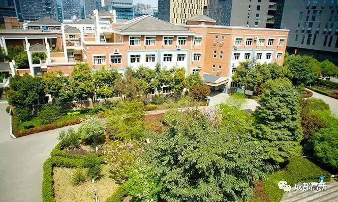 致敬岁月，未来可期！穿越30年带你看成都高新30个第一