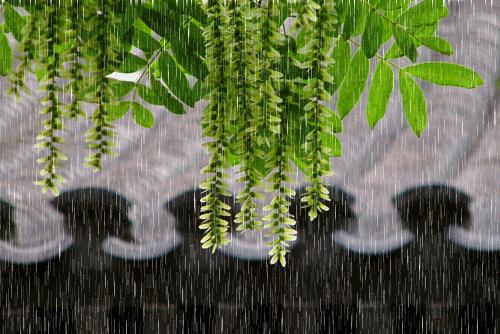 日本黑科技发明厨房,日本发明黑科技棺材车