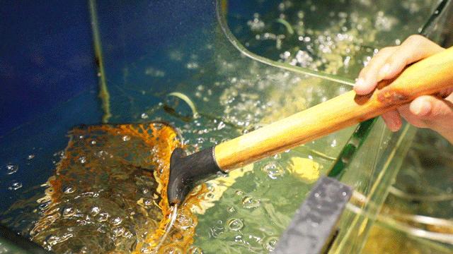 不务正业的“居酒屋”，吃完会变美！