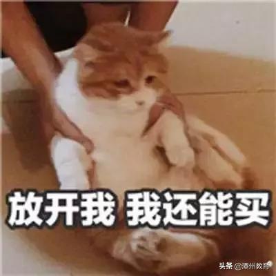 潭州教育:想要知道自己适合学什么吗,看看星座就知道了