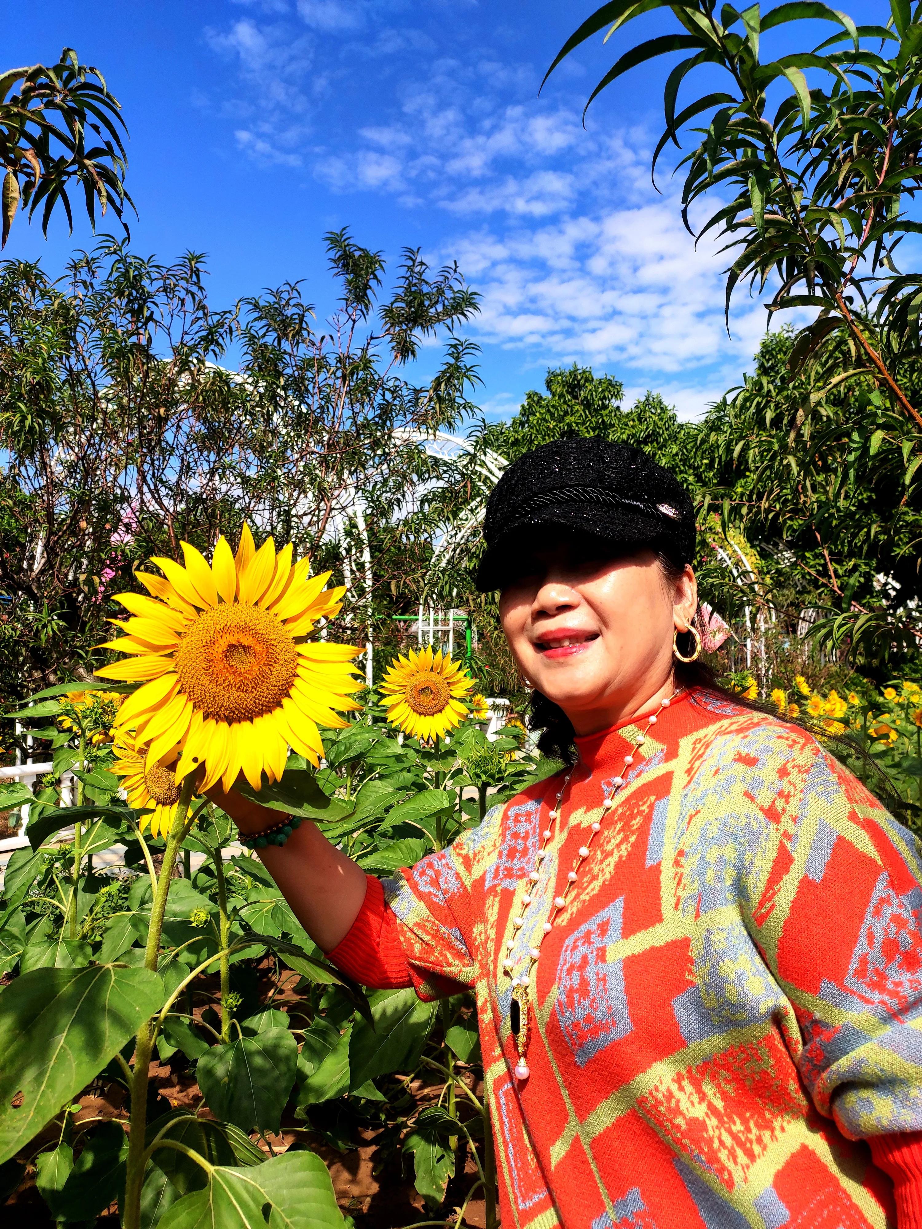 南沙好玩的地方百万葵园,广州南沙百万葵园几月份去最好