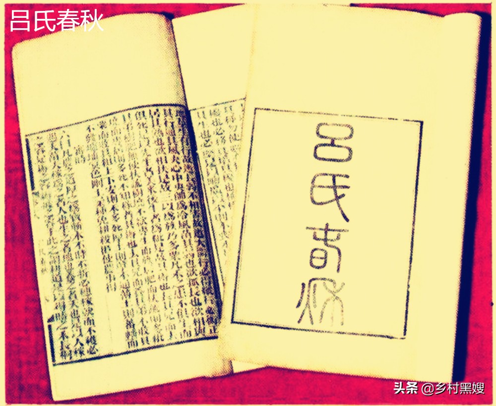 鼠类回忆录：一直被厌恶，从没被消灭！一口气搞懂鼠类的前世今生