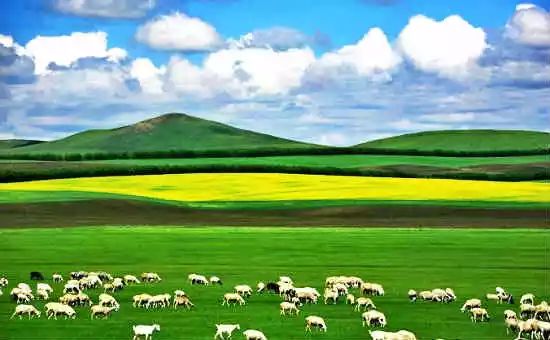 中国各地特产一览表（建议收藏）,各地特产美食一览表