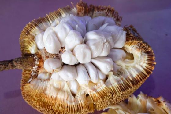 东南亚9大奇葩水果，第3个在中国是爆款！