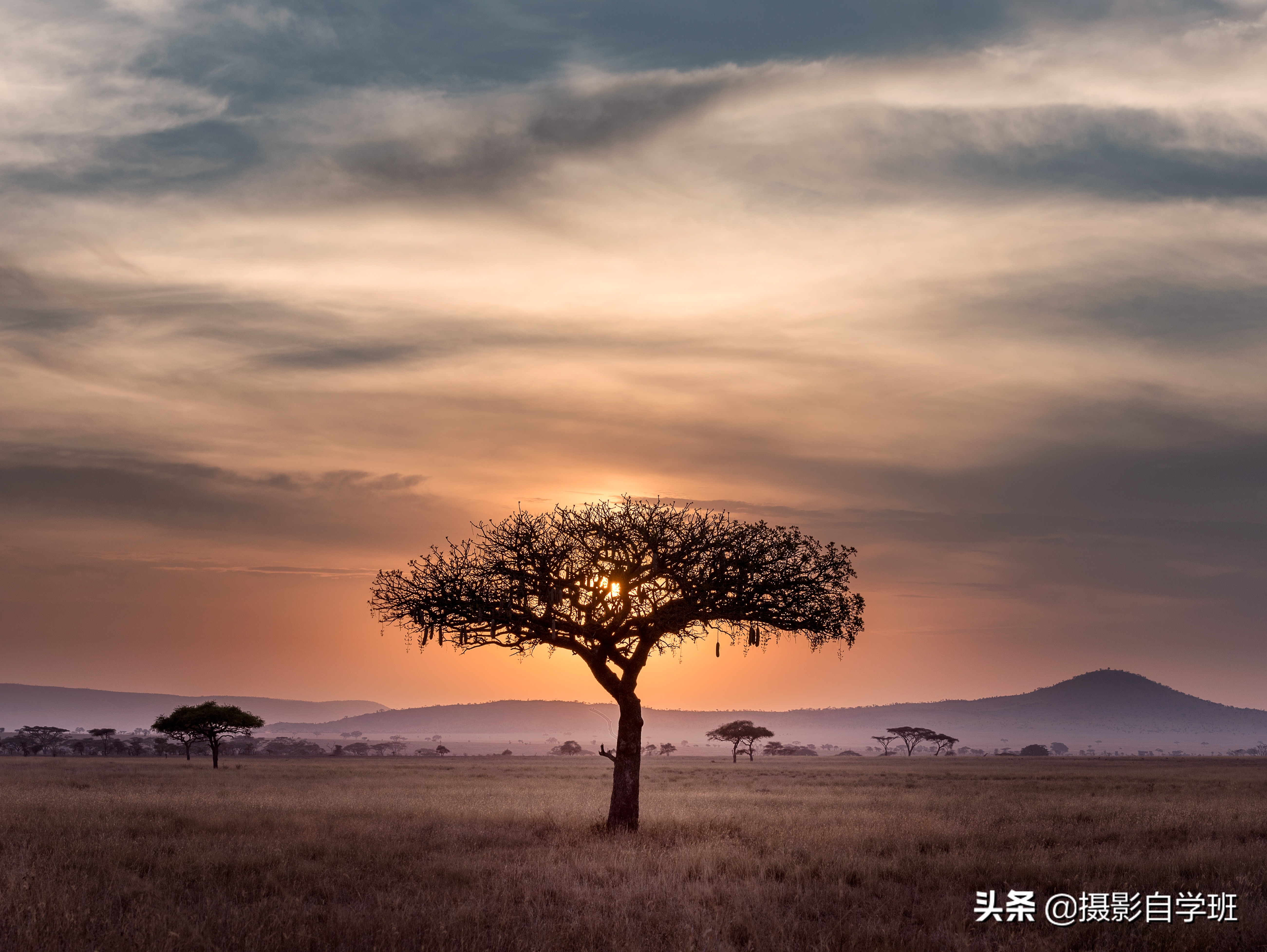 拍烟雾怎么拍出高级感照片,如何拍出好看的烟雾照片