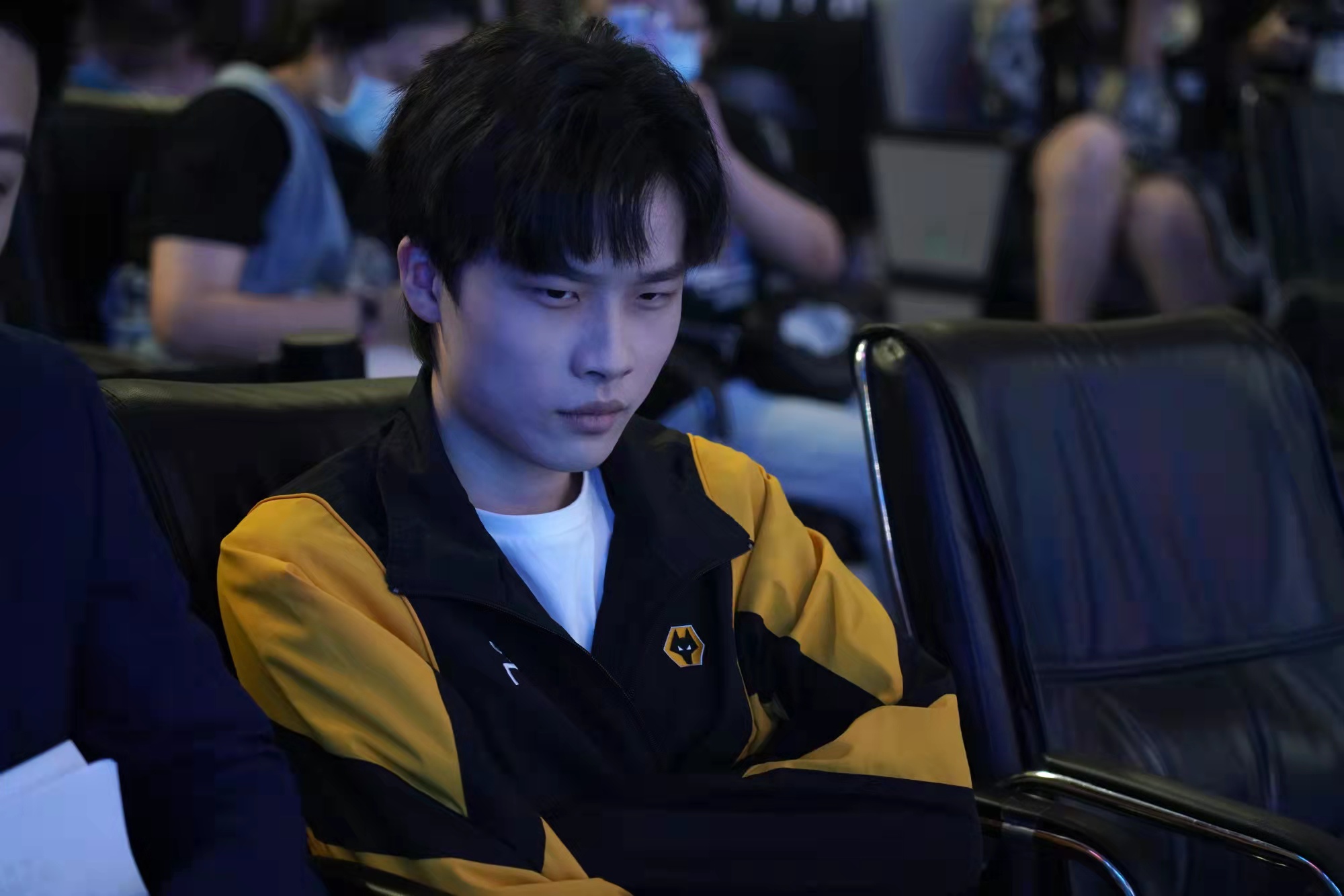 sk和狼队,sk谈狼队