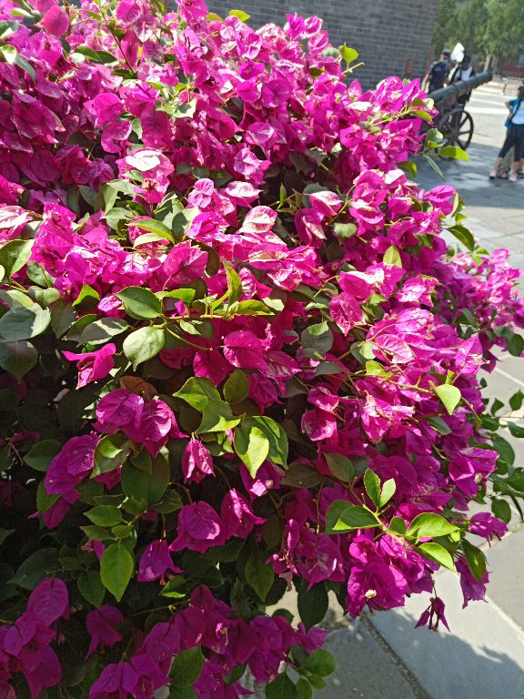 几百人参加考试，年龄最大的达侠考科目一是怎么一次性通过的？