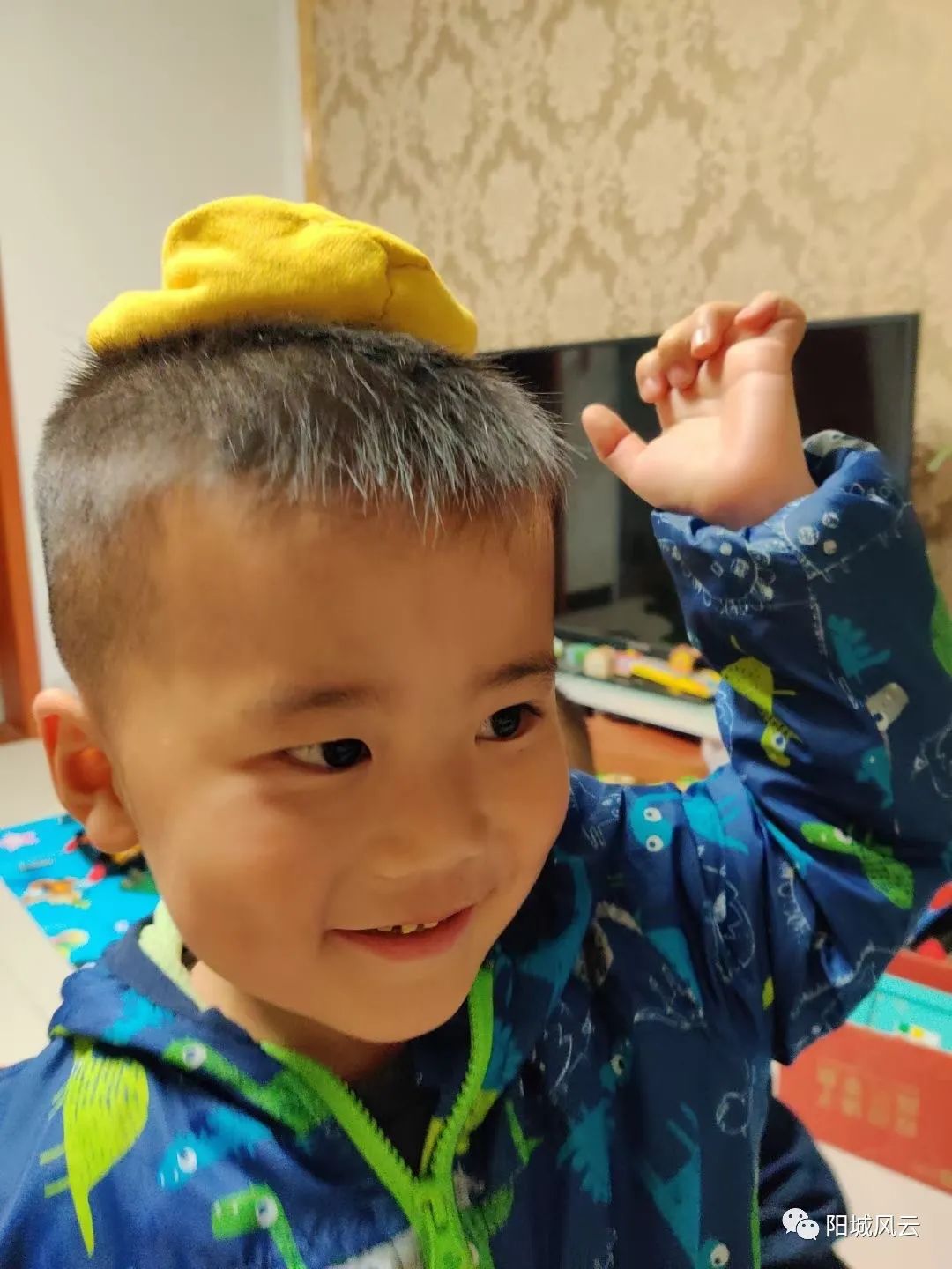 白珍妮歌曲,白珍妮电影