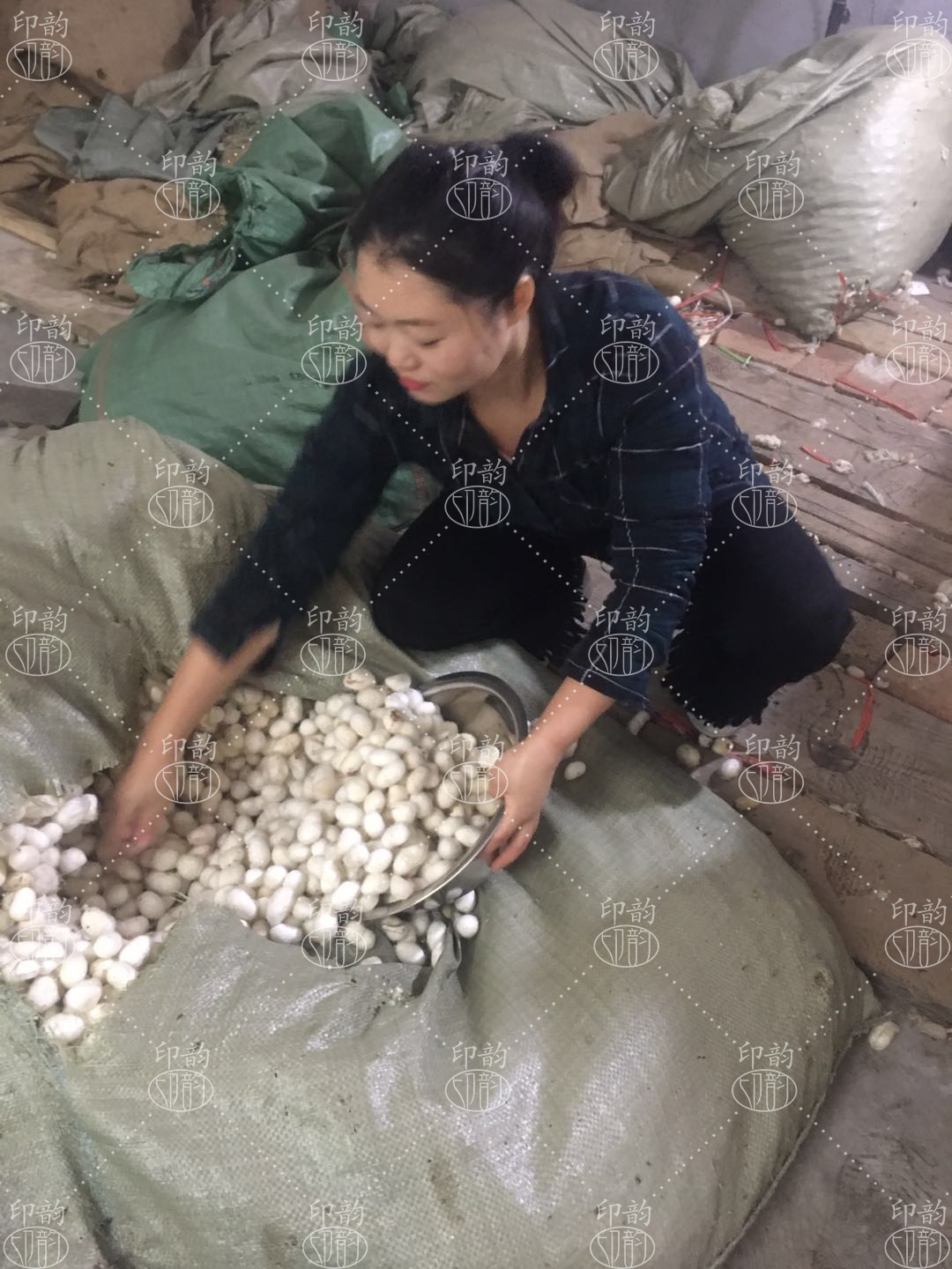 小朴妹家:从蚕茧到蚕丝被,传统手工蚕丝被的加工流程