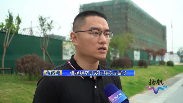 扬州战略性新兴产业,扬州战略性新兴产业发展