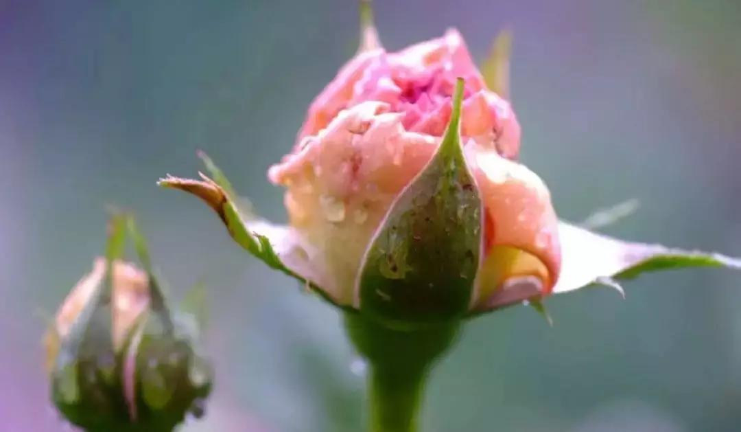 发现女儿偷看自己怎么办,发现女儿偷看电视