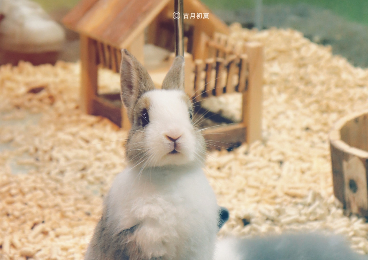 厦门科技馆游玩攻略2-3岁儿童,厦门科技馆每一个馆只能玩一次吗