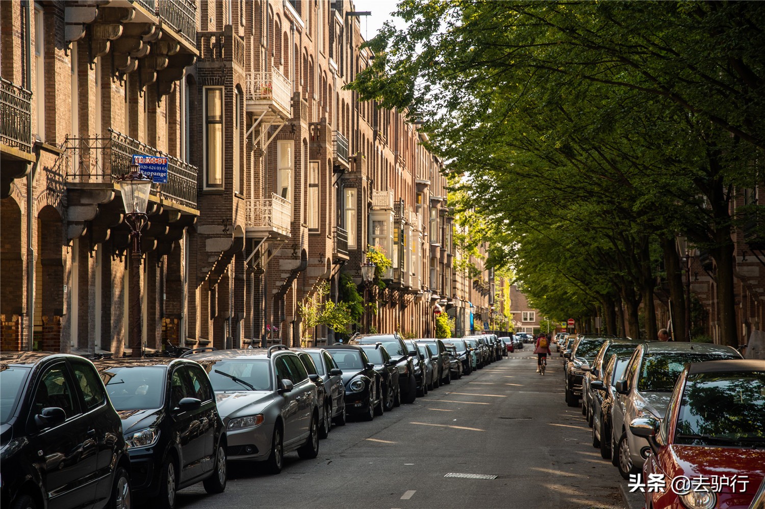 爱骑行的学生,爱骑行的小学生