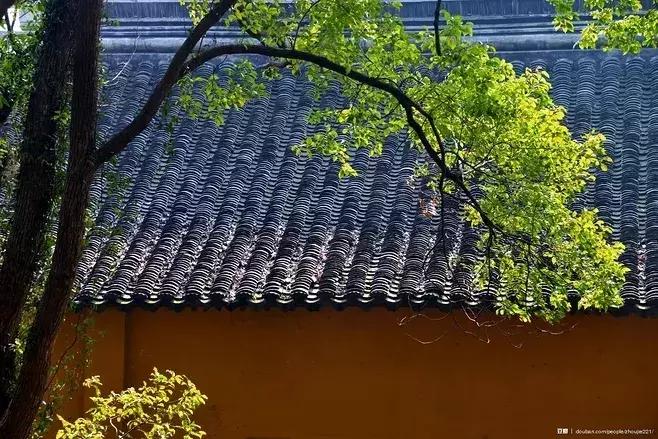 表达自由洒脱励志的古诗词,意境绝美的励志古诗词大全