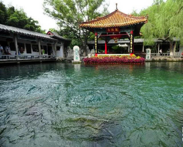 什么茶冷水泡更好喝一点,正确的泡茶方法茶应该怎么泡好喝