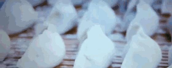 中国最具幸福感县级市江浙,中国最具幸福感县级市名单