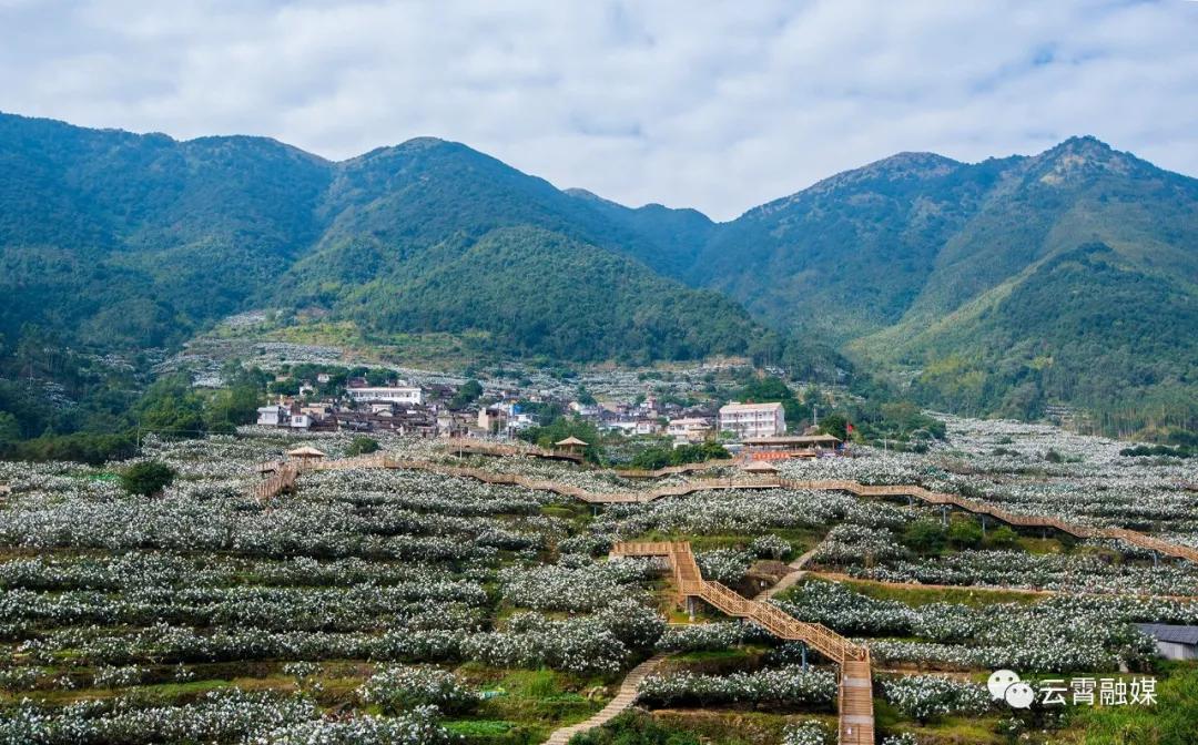 云霄一日游旅游攻略大全,国庆云霄旅游攻略