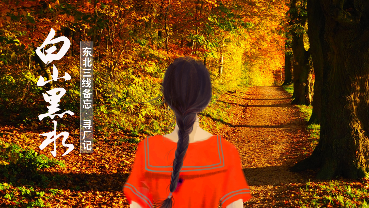 小三线纪实：代号9221前进厂，从通河到绥化的*弹子**厂