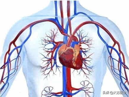 洗血净化,什么叫洗血疗法