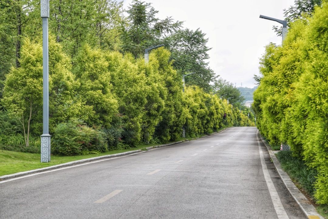黄果树如何避开天星桥,一份详细的黄果树景区一日游攻略