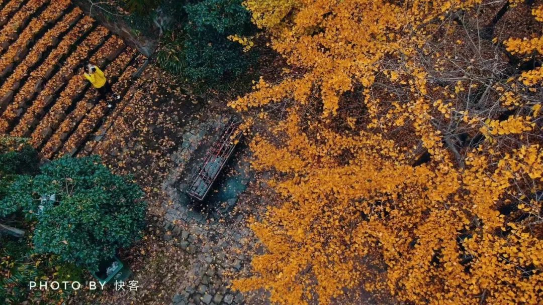 一入秋西安就美成长安,一入秋杭州就美成临安