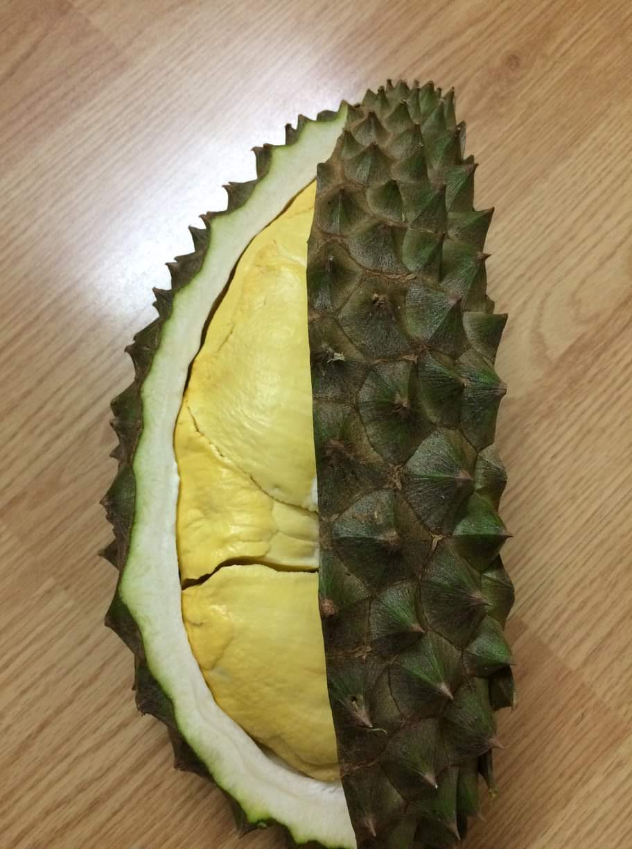 榴莲品种d13,泰国榴莲d197是什么品种