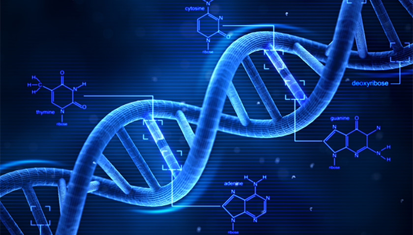 在科学的道路上从来没有捷径可走,科学不仅要仰望星空也要脚踏实地