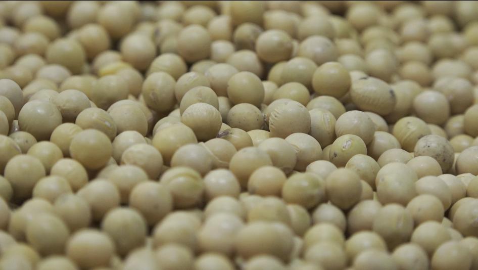 广特播报栏目,广特播报上海