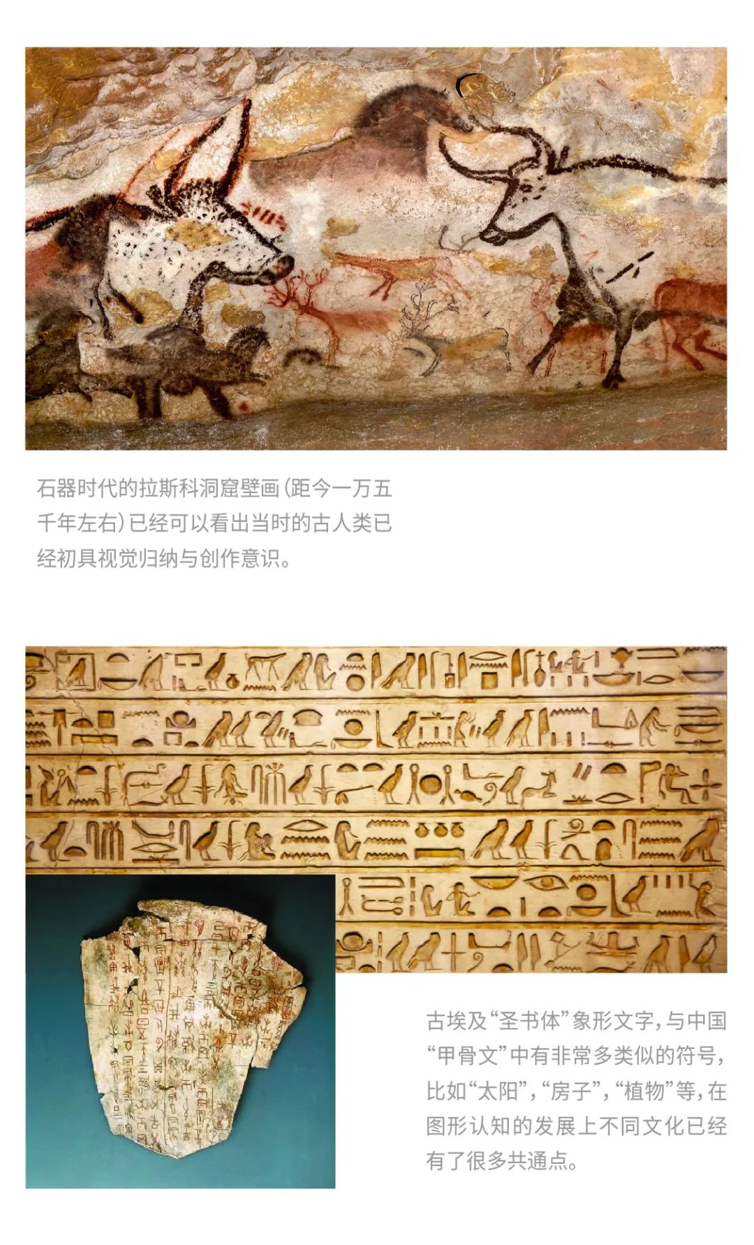 视觉传达艺术与平面设计的区别,平面设计和美术哪个好