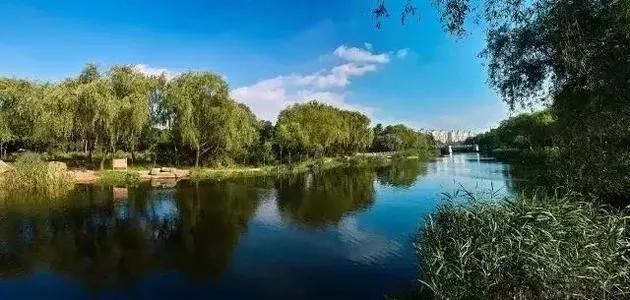 新江湾城新开的楼盘,上海新江湾城入市楼盘