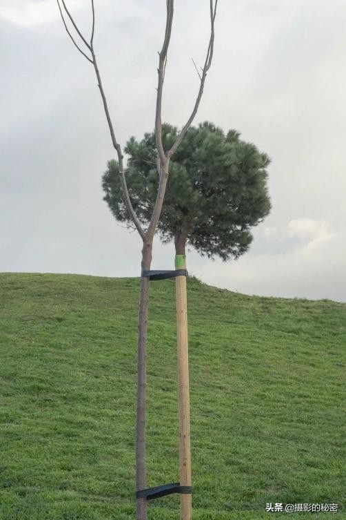 错位照片姿势大全,错位照片搞笑