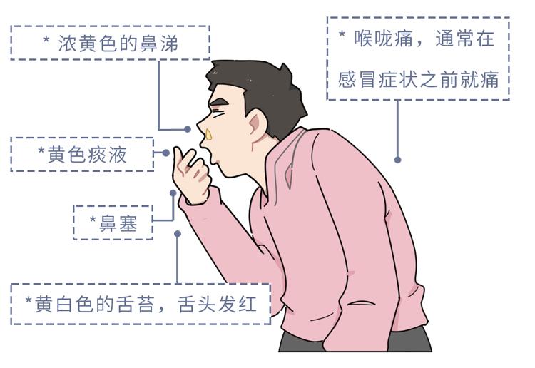 感冒怎么分辨风寒还是风热,感冒如何区分是风寒还是风热