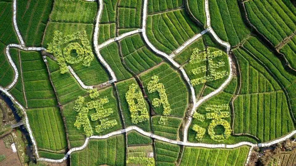 云南西双版纳幸福感,云南最有潜力的城市西双版纳