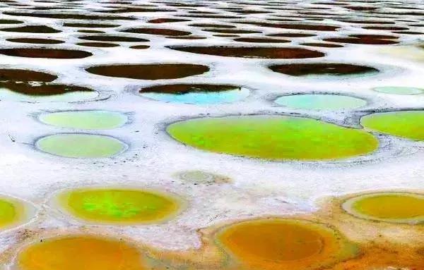 听说过斑马、斑点狗，你听说过斑点湖吗？