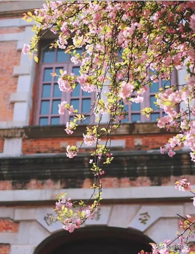 被大理的美景所折服,被丽江的风景美到了