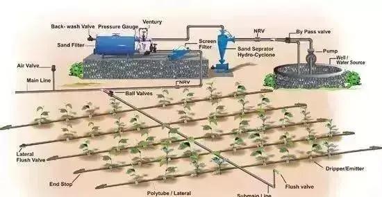以色列水肥一体化,以色列高科技农业水肥一体化