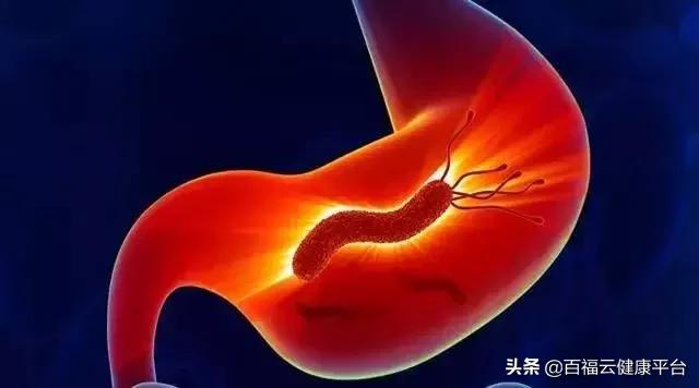 幽门螺杆菌最怕的3种食物,幽门螺杆菌最怕7种东西