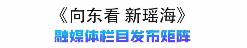 向东看新瑶海第三十一期,向东看新瑶海152期