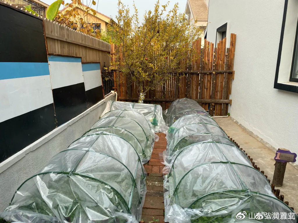 李子柒的城市视频,城市版的李子柒